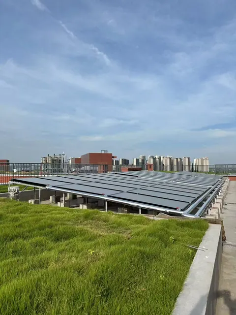 Pudong Lingang Senior High School (affiliated with East China Normal University), Shanghai – installation photo 4